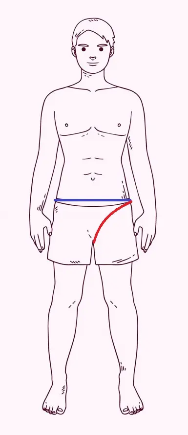 dibujo para explicar cómo se han de tomar las medidas para elegir la talla del bañador de incontinencia SLIP masculino de absorvalia