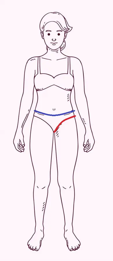 dibujo para explicar cómo se han de tomar las medidas para elegir la talla del bañador de incontinencia SLIP femenino de absorvalia