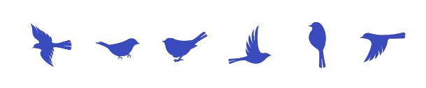 pañal moltex T6 - Imagen diseño pájaros 